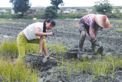 大女儿李香梅（左一）在村外的养殖基地了解海沙虫的生活习性及品质。